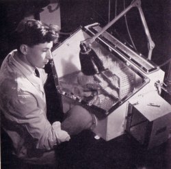 Photo showing Hand assembling transistors in the 1950s